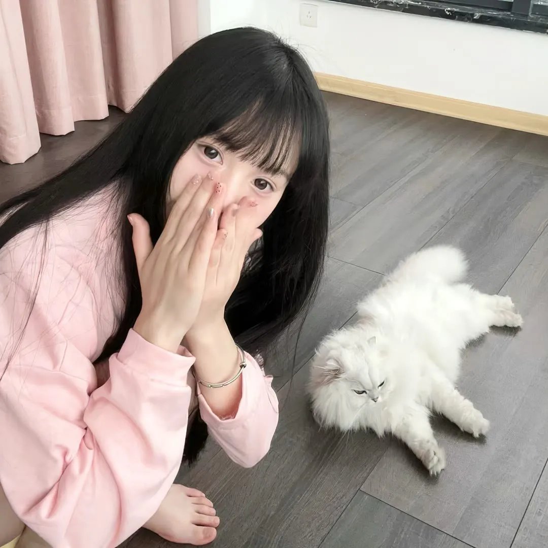 最爱喵星人:我猫威武
